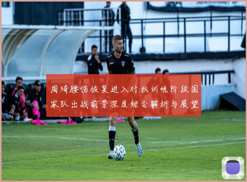 周琦腰伤恢复进入对抗训练阶段国家队出战前景深度综合解析与展望
