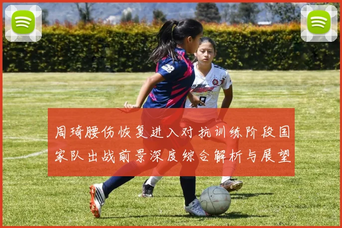 周琦腰伤恢复进入对抗训练阶段国家队出战前景深度综合解析与展望