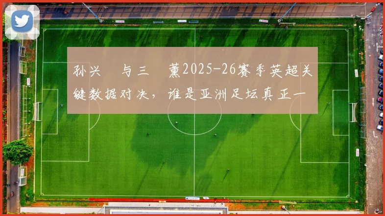 孙兴慜与三笘薰2025-26赛季英超关键数据对决，谁是亚洲足坛真正一哥